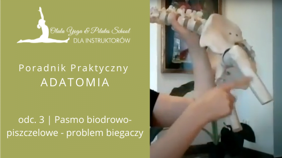 Pasmo biodrowo-piszczelowe – Poradnik Praktyczny Adatomia